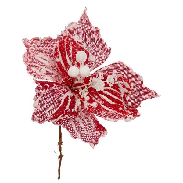 Χριστουγεννιάτικο Λουλούδι, Κόκκινο Χιονισμένο Αλεξανδρινό (25cm)